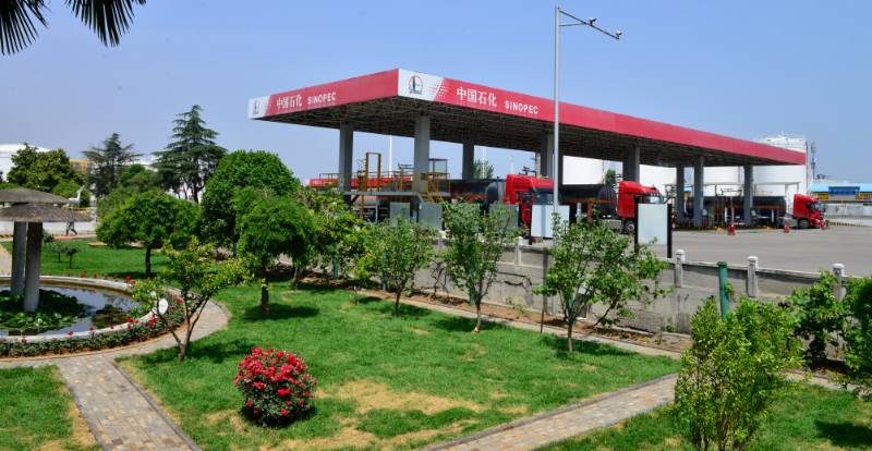 1767852445847964.jpg 3.jpg