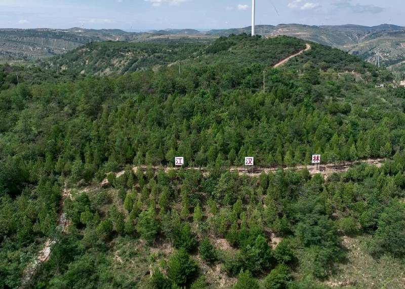 1767852488189797.jpg 6.jpg