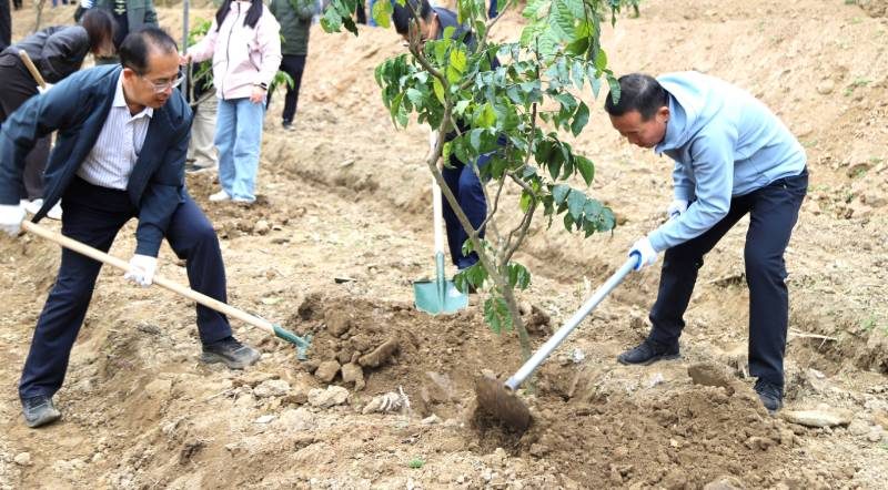 1767947146771121.jpg 2 (1).jpg