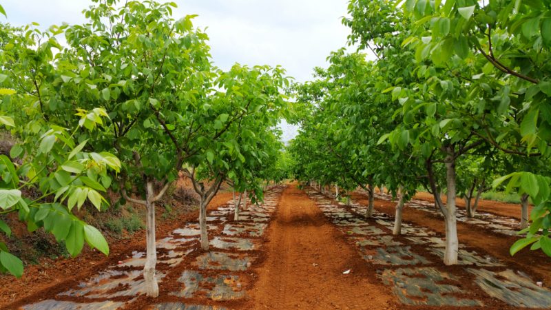 1768519098724736.jpg 9.jpg