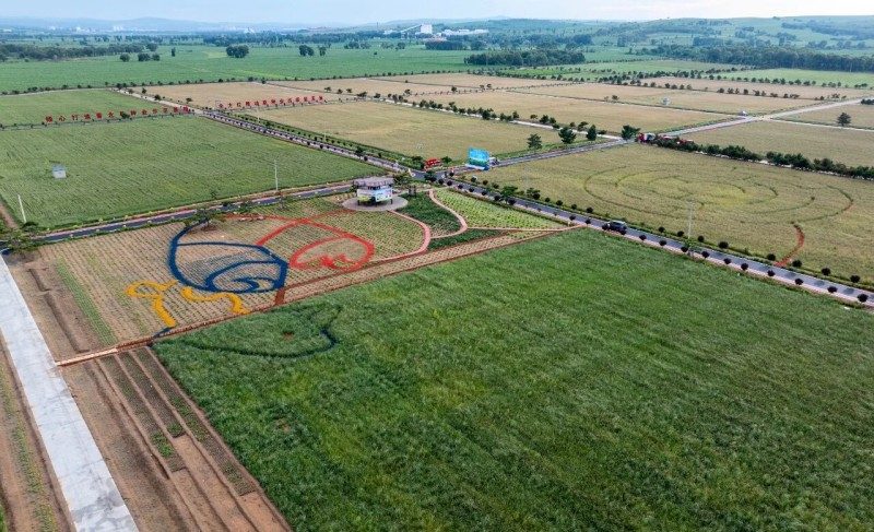 1768519183125636.jpg 12.jpg