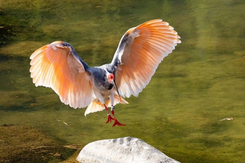 1768523985824318.jpg 16.jpg