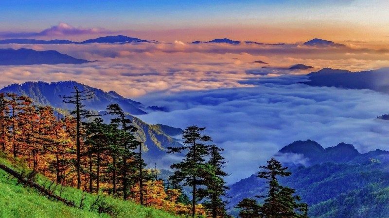 1768524031361465.jpg 19.jpg