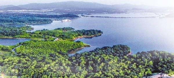 1769395284720364.jpg 1769395284720364.jpg