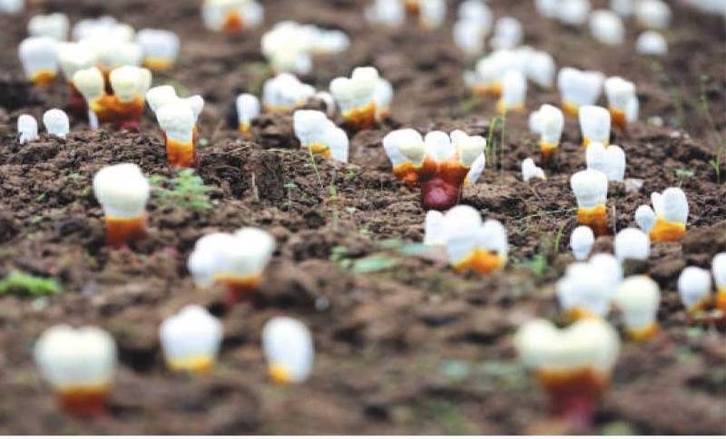 1769395334577066.jpg 3 (1).jpg