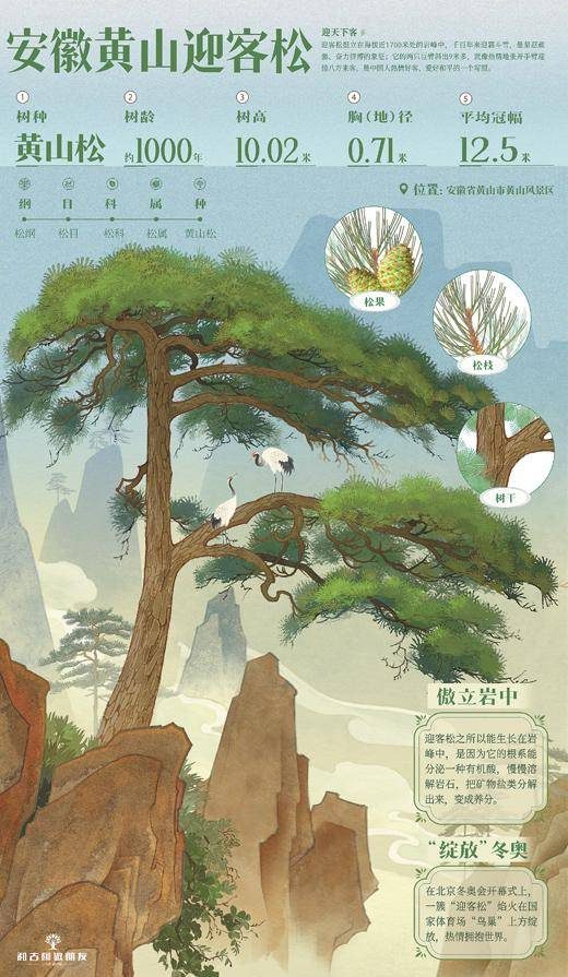 1769395624858137.jpg 5 (1).jpg