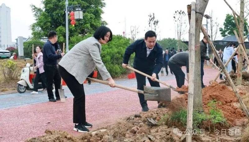 1771989065943351.jpg 3.jpg