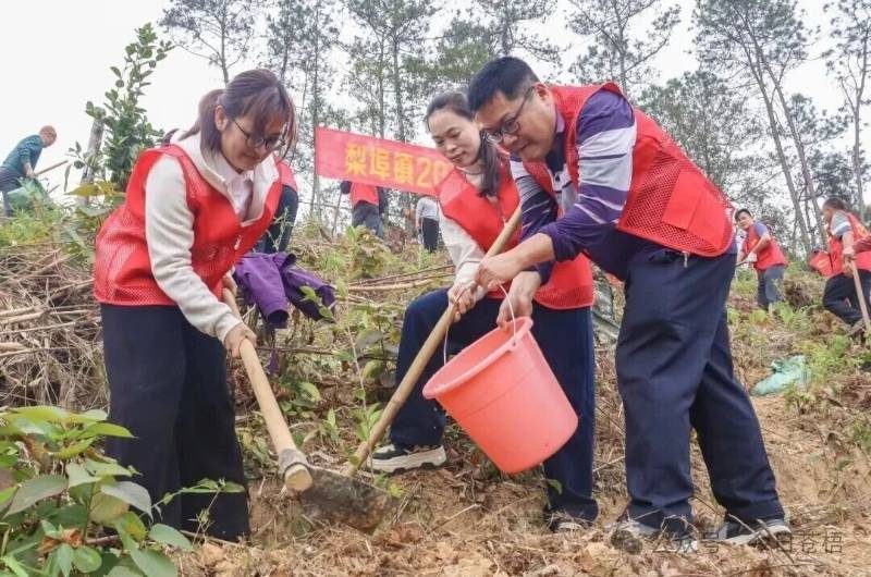 1771989132891736.jpg 8.jpg