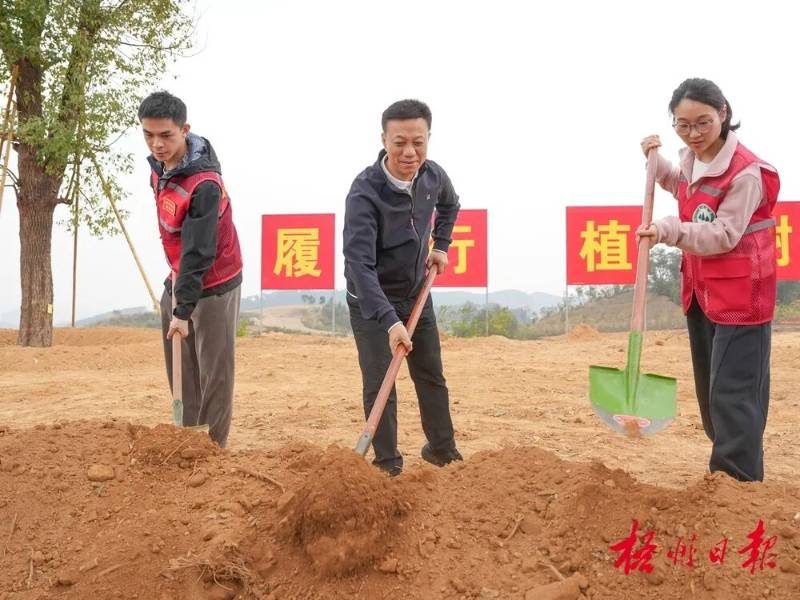 1771990384318801.jpg 1771990384318801.jpg