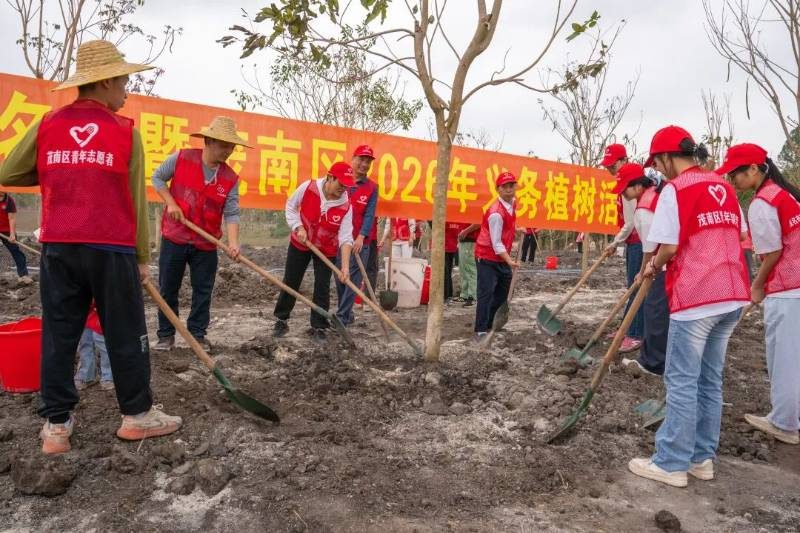 1772070101107714.jpg 3.jpg