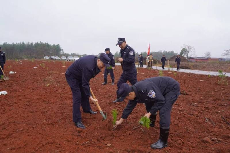 1772076322109204.jpg 1.jpg