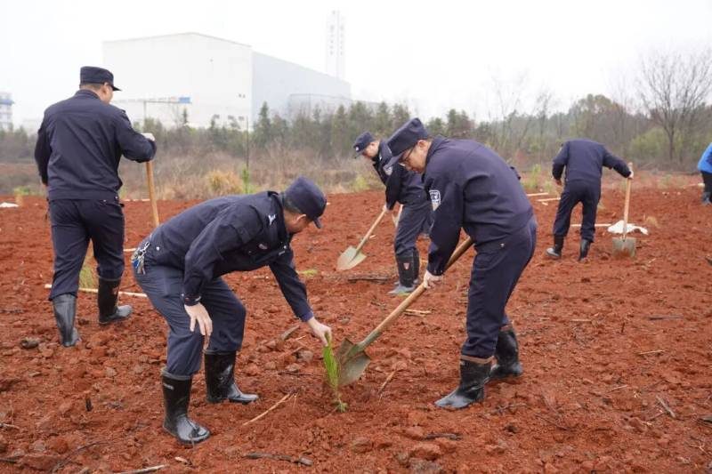 1772076325270102.jpg 2.jpg