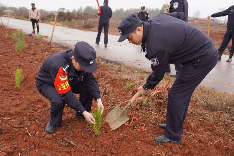 1772076332932354.jpg 3.jpg