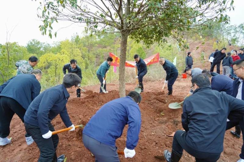 1772082821647579.jpg 4.jpg