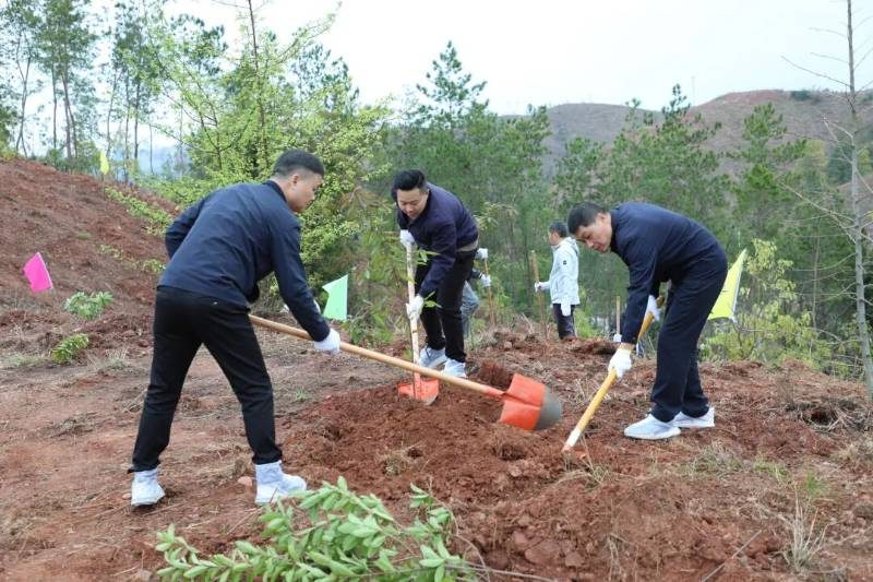 1772082851943857.jpg 7.jpg