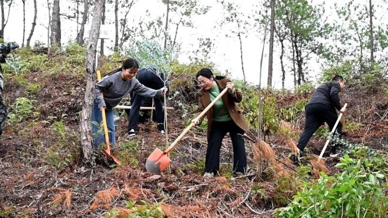 1772084098223783.jpg 3.jpg