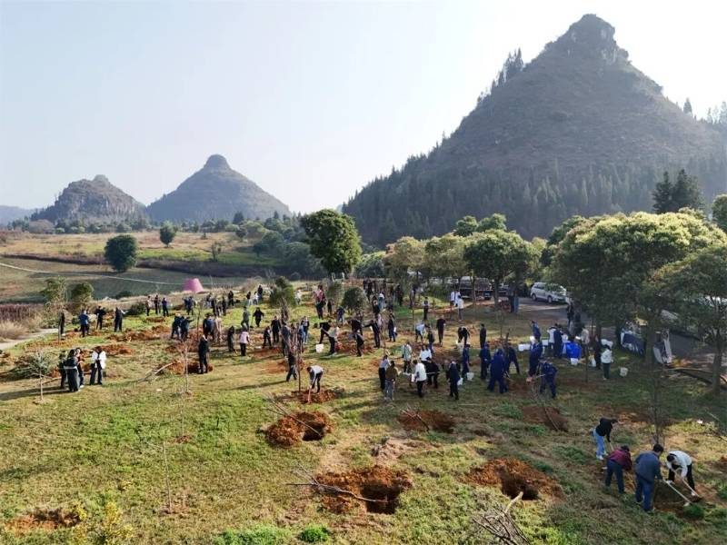 1772436501271218.jpg 2.jpg