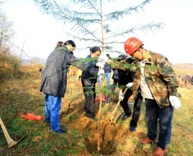 1772437233260931.jpg 16.jpg