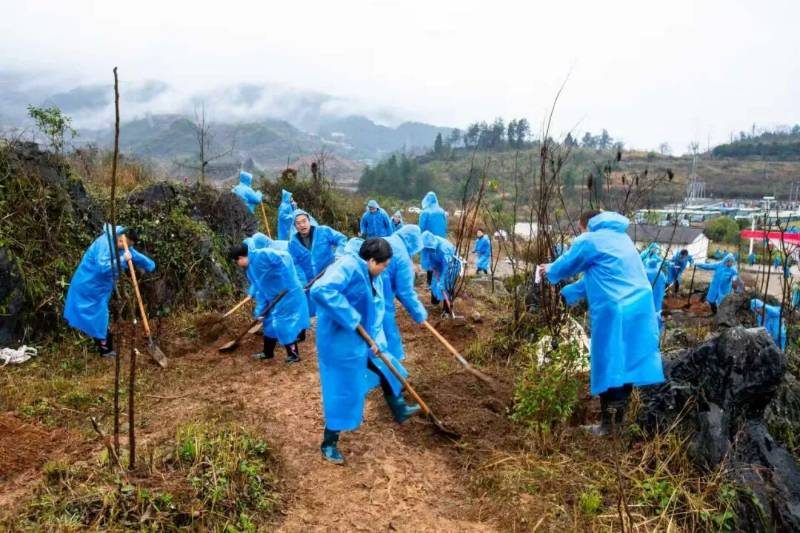 1772437774306840.jpg 25.jpg