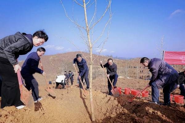 1772498005419889.jpg 12.jpg