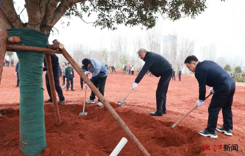 1773709372250358.jpg 1 (1).jpg