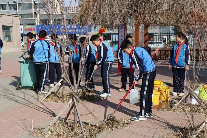 1773803746292420.jpg 1 (1).jpg