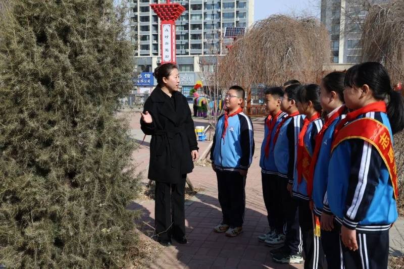 1773803777218903.jpg 5 (1).jpg