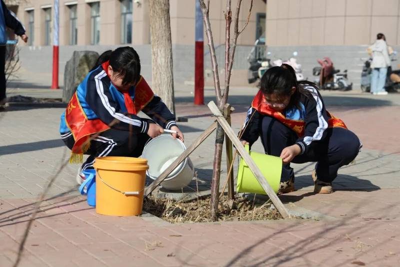 1773803794312621.jpg 2 (1).jpg