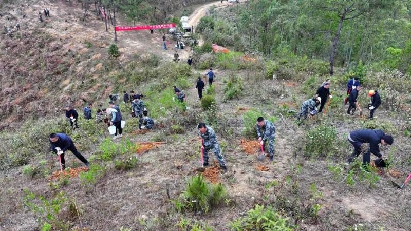 1773811052102798.jpg 1.jpg