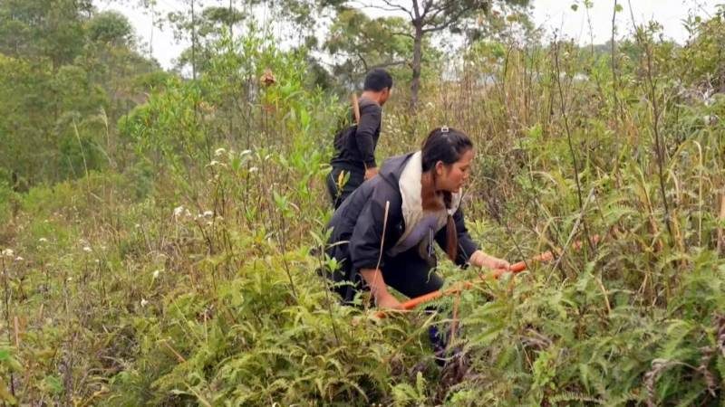 1773811076681264.jpg 3.jpg