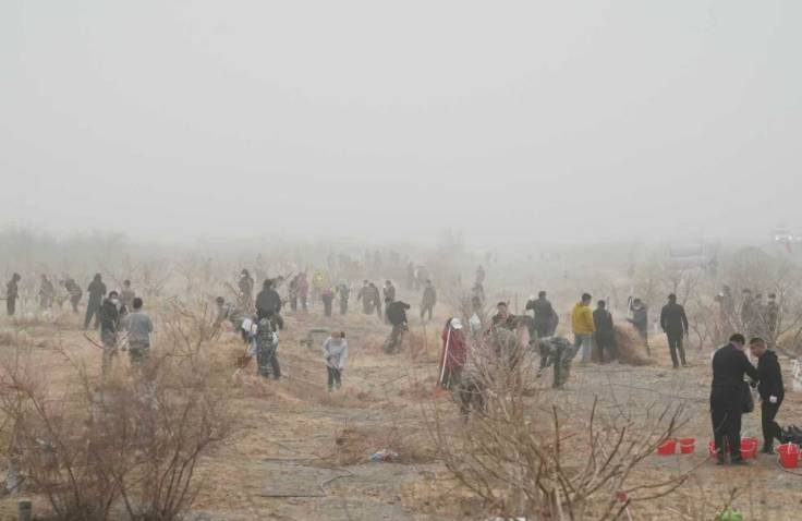 1773812016278342.jpg 3 (1).jpg