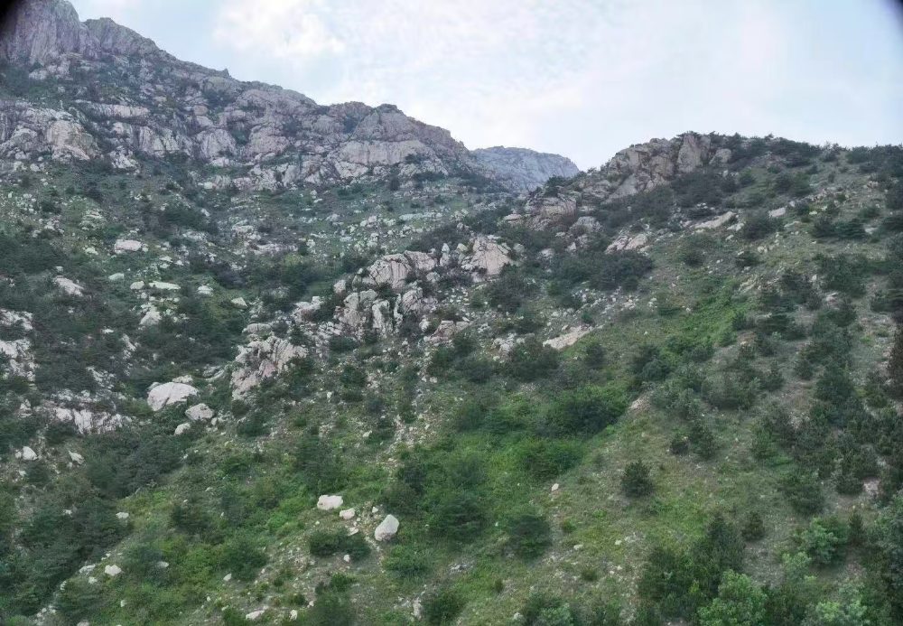 1774321019529654.jpg d2fd99e03b6cb01e66c18cf3fe79e4a2.jpg