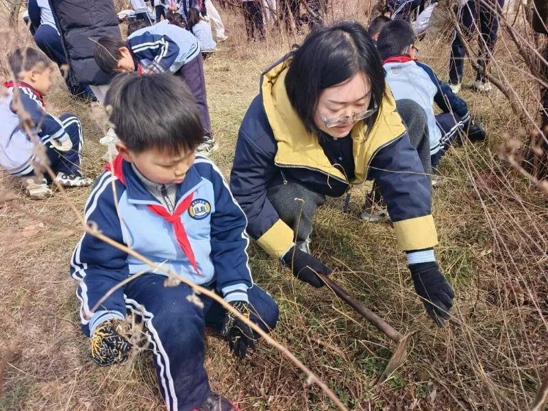 1774594074250611.jpg 8 (1).jpg