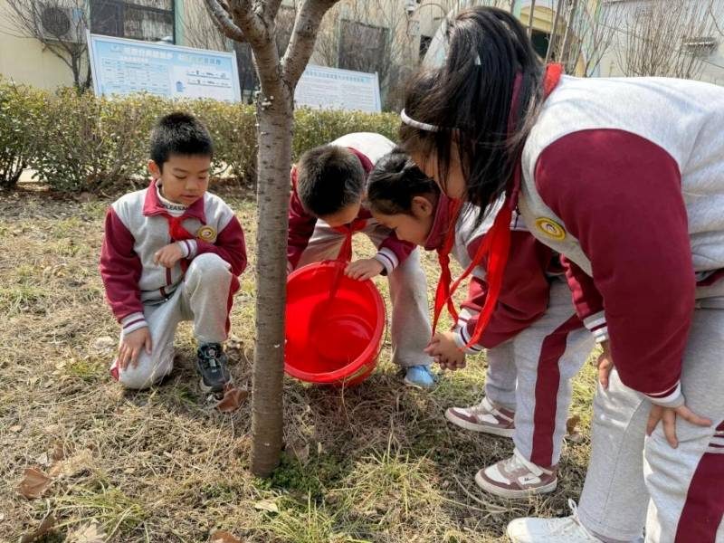 1774594277518582.jpg 1.jpg