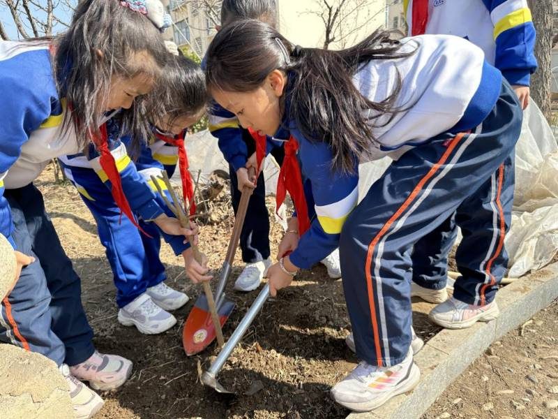 1774595602460139.jpg 3.jpg