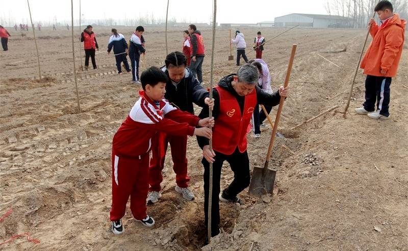 1774595614795604.jpg 4.jpg