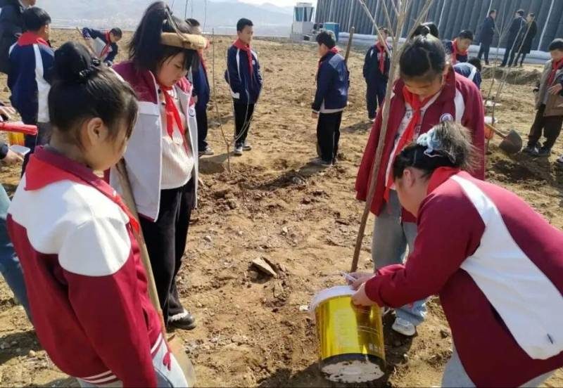 1774595632613593.jpg 5.jpg