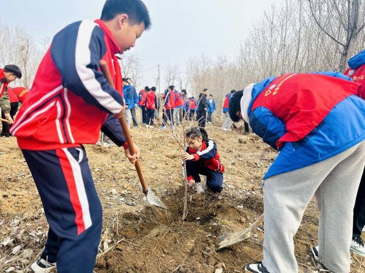 1774595641943687.jpg 1774595641943687.jpg