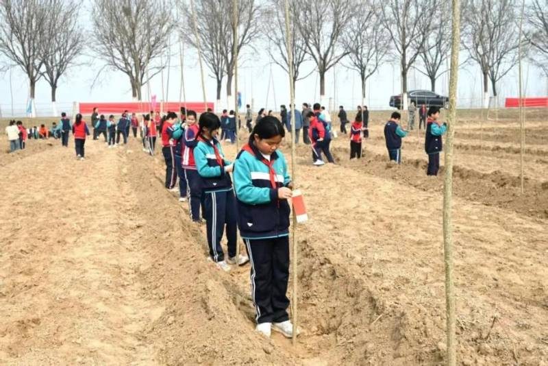 1774595709935206.jpg 10.jpg