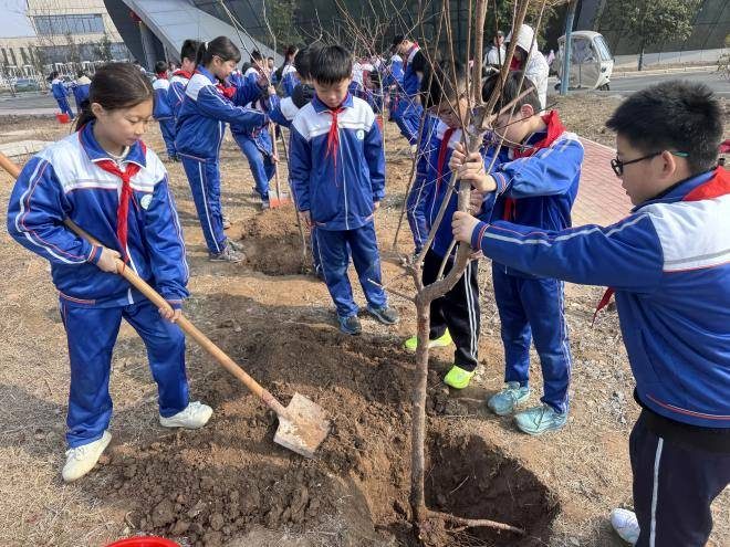 1774595723134930.jpg 1774595723134930.jpg