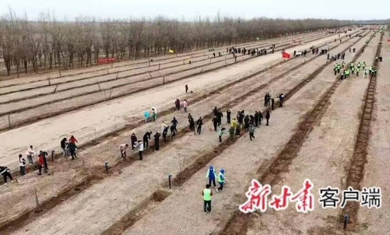 1775009631416899.jpg 2 (1).jpg