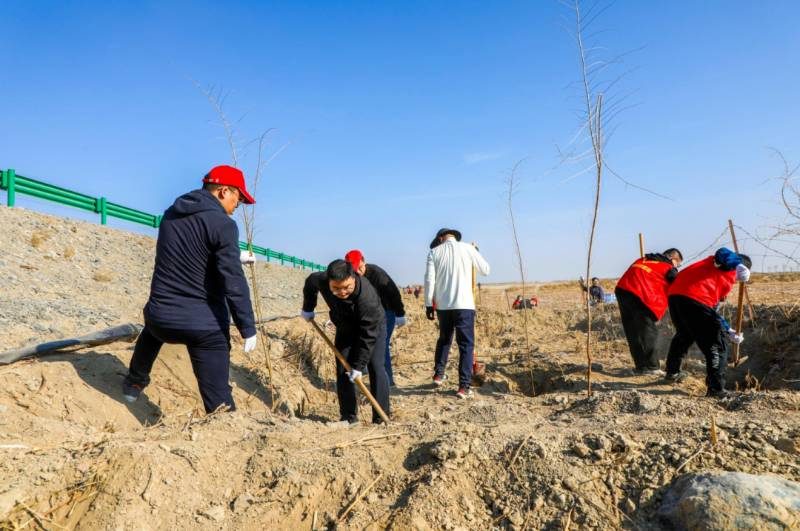 1775009872279263.jpg 1 (1).jpg