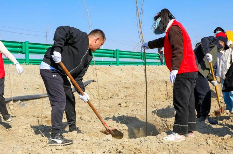 1775009887893930.jpg 3 (1).jpg