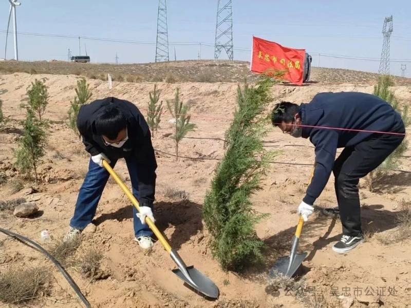 1775187288192239.jpg 1 (1).jpg