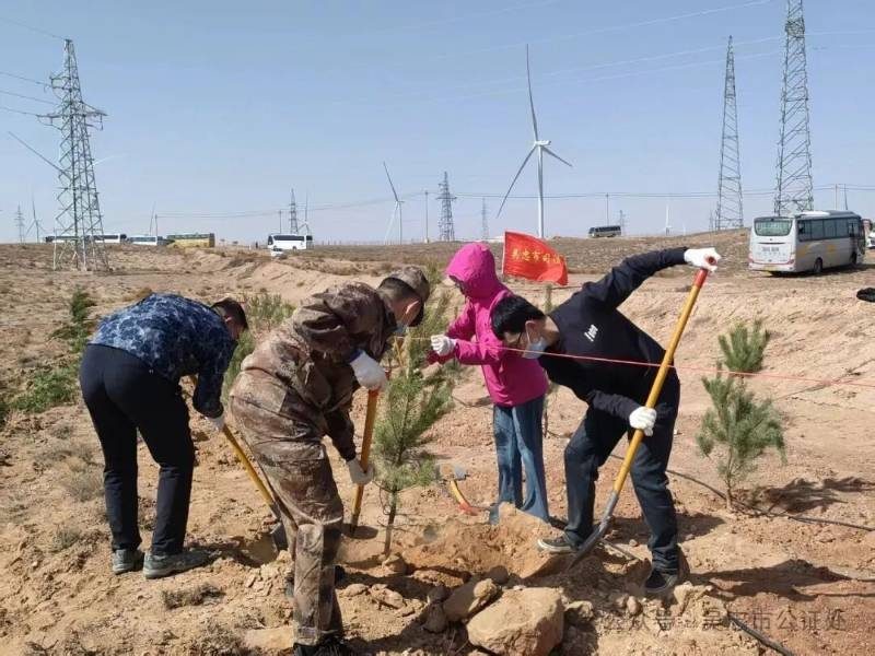 1775187310184982.jpg 2 (1).jpg