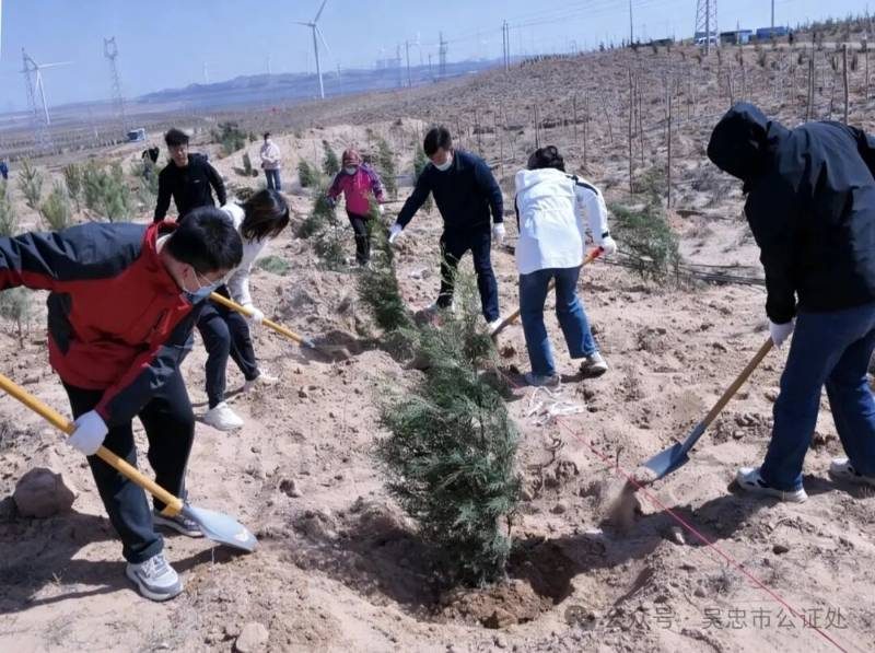 1775187314444980.jpg 3 (1).jpg