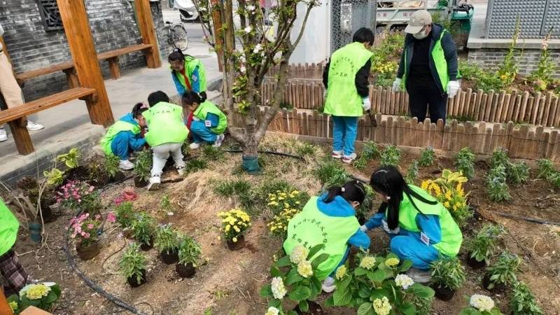 1775615764901347.jpg 1.jpg