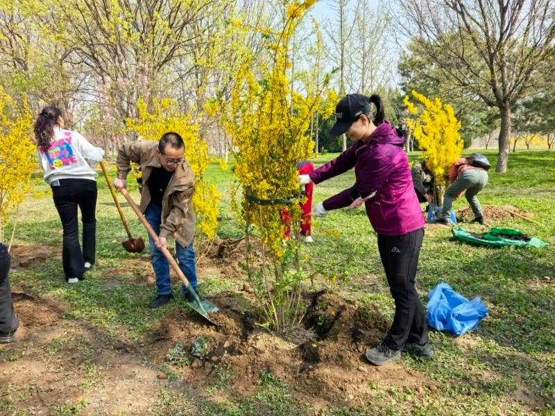 1775615775383254.jpg 2.jpg