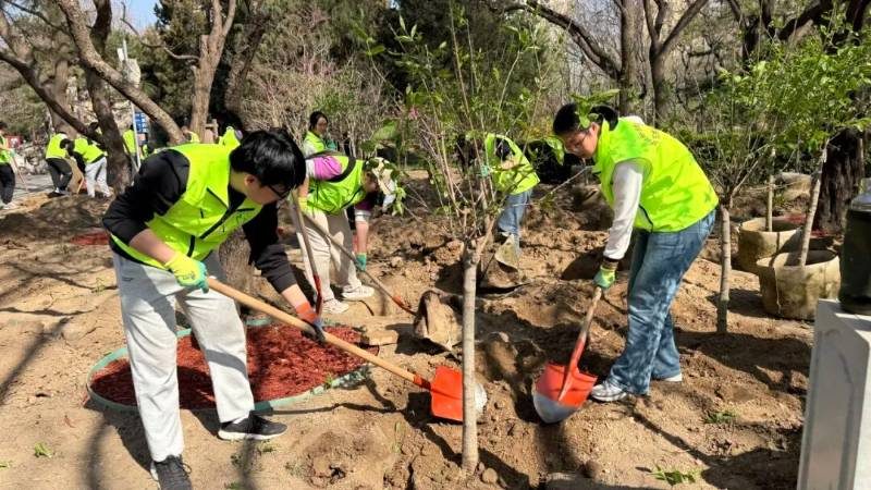 1775615786293364.jpg 3.jpg