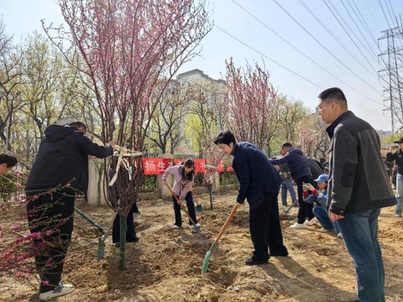 1775615905468960.jpg 6.jpg